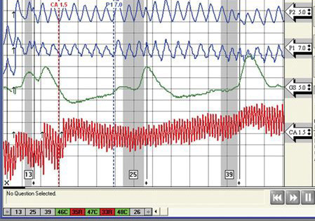 Interpreter polygraph Spanish polygraph Russian polygraph Hebrew